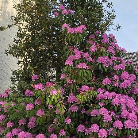 Logis Hotel Les Tilleuls Saint-Cirgues-de-Jordanne المظهر الخارجي الصورة