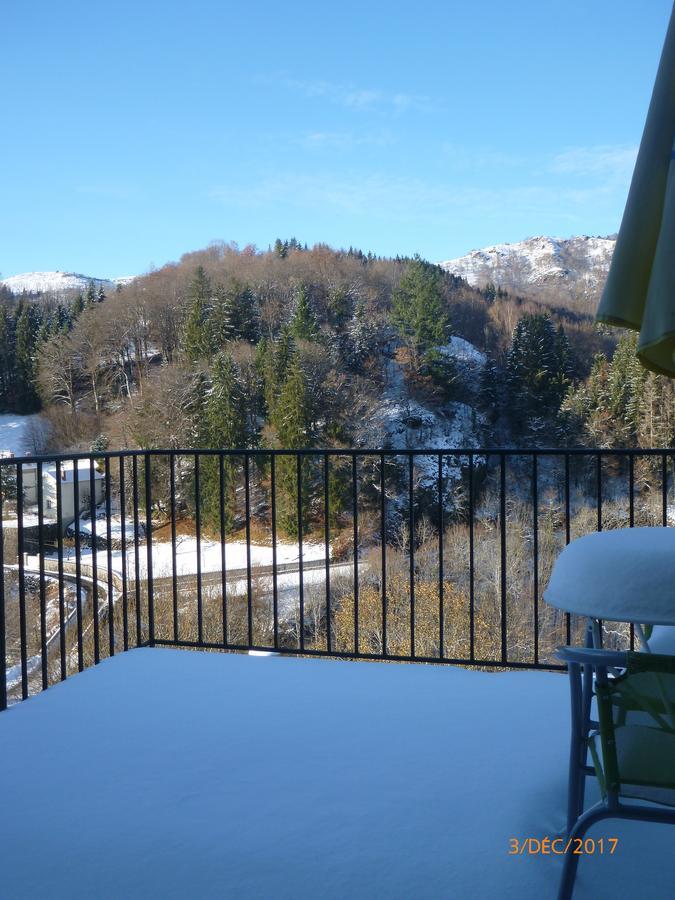 Logis Hotel Les Tilleuls Saint-Cirgues-de-Jordanne المظهر الخارجي الصورة